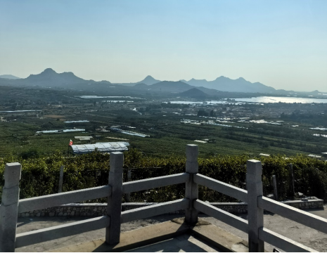 平度大澤山葡萄園引進(jìn)萊恩德土壤肥料檢測儀， 輕松掌握土壤營養(yǎng)